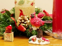 24275CrLe - Christmas ornaments at home.JPG